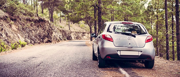 silver car on road surrounded by trees