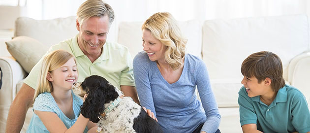 Happy little girl playing with dog while family looking at her in living room