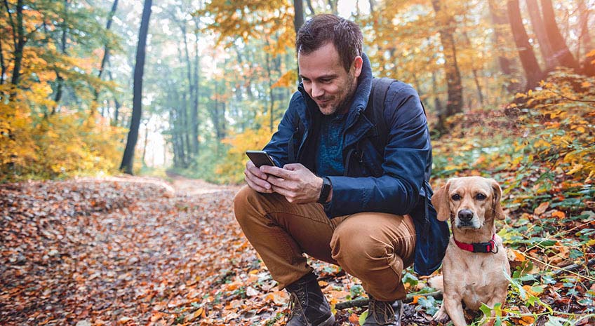 Man Squatting Next To small yellow Dog and using phone in autumn forest