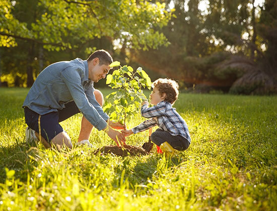 Father wearing gray shirt and shorts and son in checkered shirt and pants planting tree under sun.