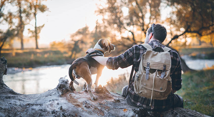 Man hiker and his dog taking a rest from walking, sitting by the river, enjoying the view and sunset