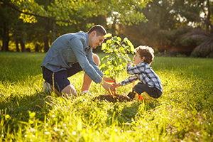 Father wearing gray shirt and shorts and son in checkered shirt and pants planting tree under sun.