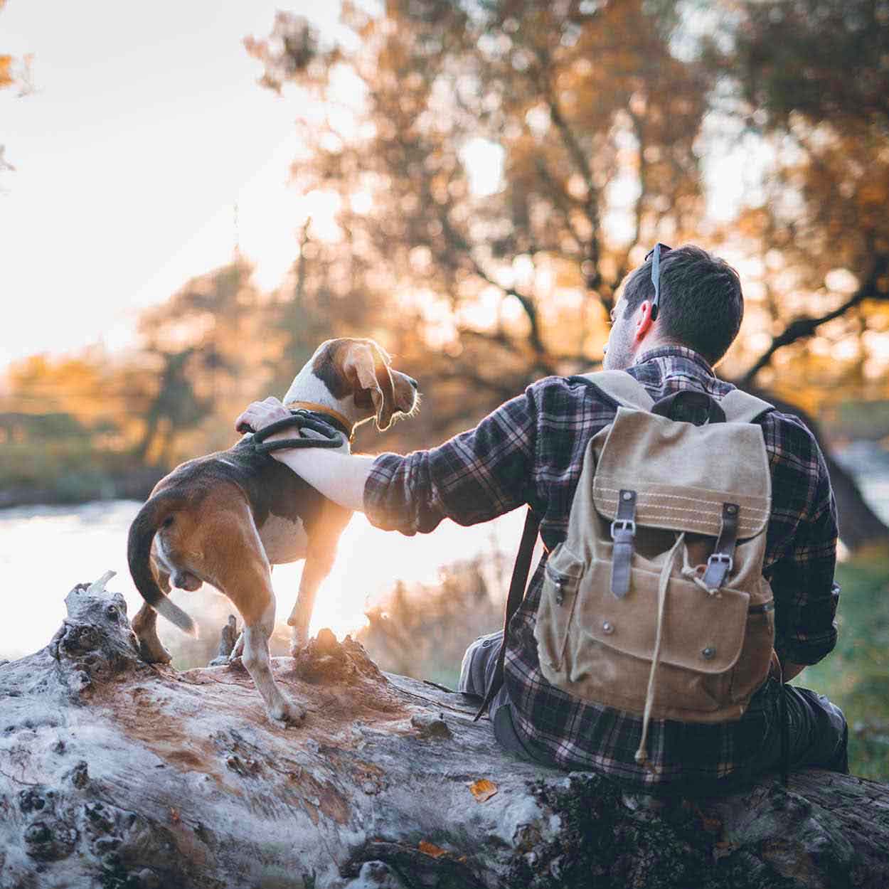 camping man and dog