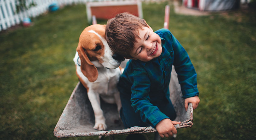 Photo of little smiling boy and his dog having fun outdoors, driving together in a wheelbarrow.