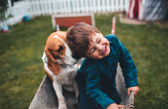 young boy in a blue flannel shirt sitting inside a wheel barrow with his dog