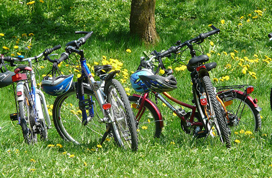 several bikes of varrying sizes standing empty on grass with trees in background