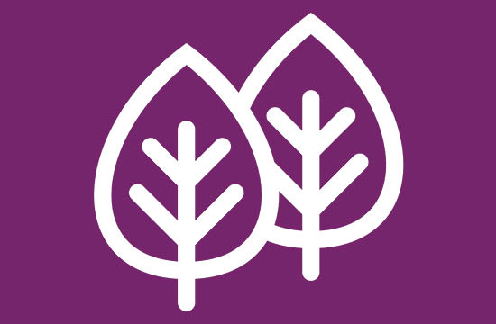 large plum box with white leaf icon