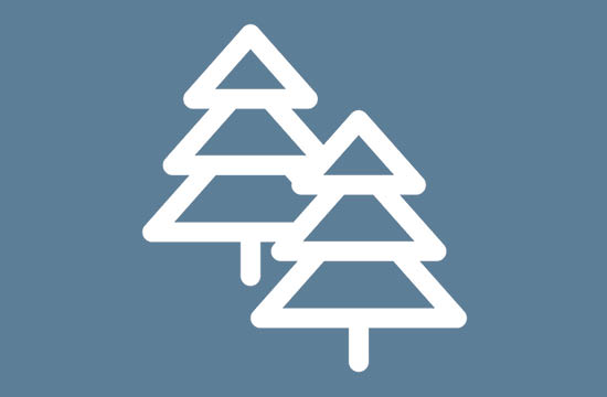 large blue box with white tree icon