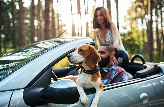 Shot of a couple having fun in the car with a dog outdoors.