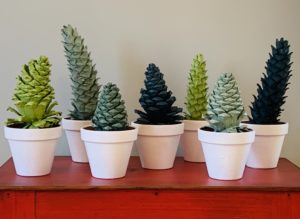 pinecones panted green and n white pots