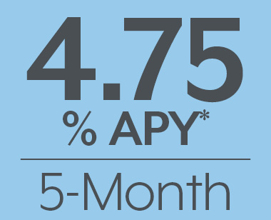 4.75% APY* 5-month tile in grey with blue background