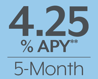 4.25% APY** 5-month tile in grey with blue background