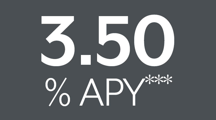 3.50 APY grey tile