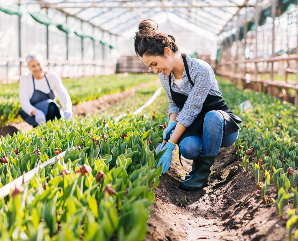 2 women in green house